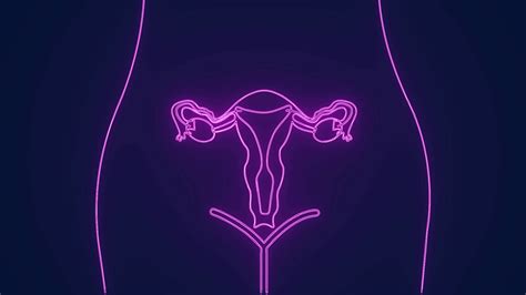Image result for Female Reproductive System Animation