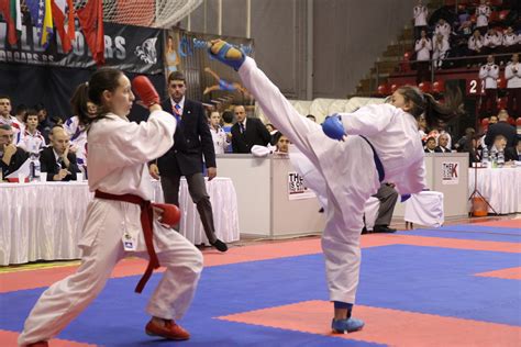 Image result for Karate Framework Java