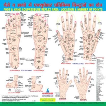 Reflex Area_Numbers Charts Acupressure Paper Print - Educational ...
