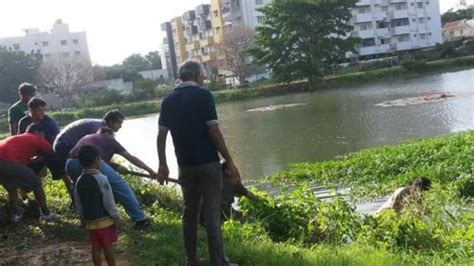 How Indian citizens saved a polluted lake - The Observers - France 24
