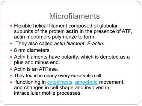 cytoskeleton (Microtubules, microfilaments intermediate filaments) | PPTX