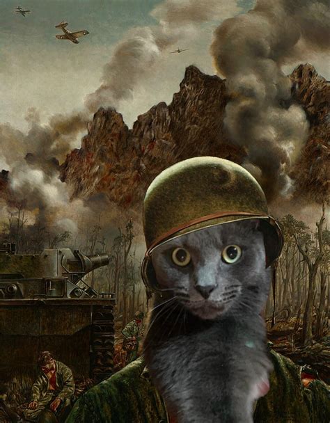 Shell Shock cat : r/hardimages