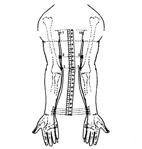 Chinese Meridians : Acupressure Research, Training and Treatment ...