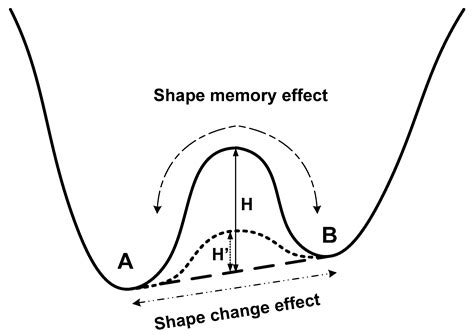 Mechanisms of the Shape Memory Effect in Polymeric Materials