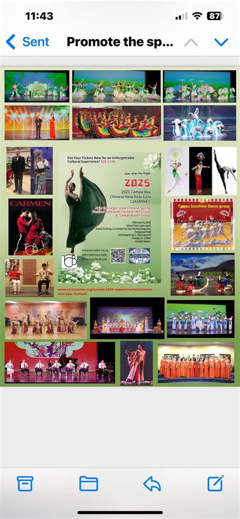 2025 Tampa Bay Chinese New Year Gala, Straz Center for the Performing ...