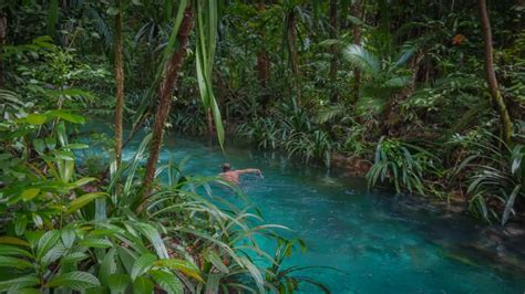 What to Expect Diving in Raja Ampat with Papua Diving Resorts