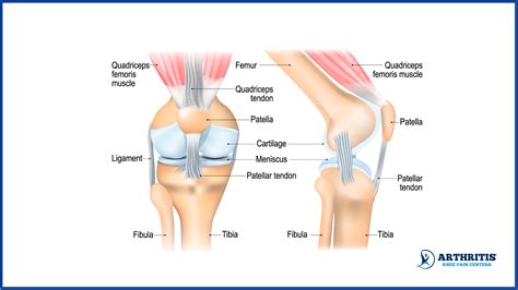 Relieve Knee Pain When Squatting | Arthritis Knee Pain Center