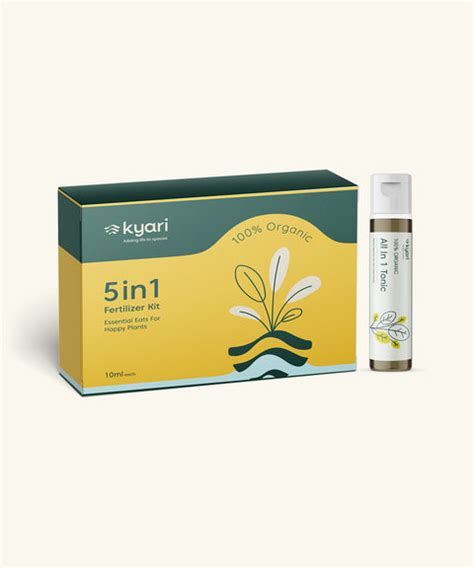 Rhoeo Plant – Kyari.co