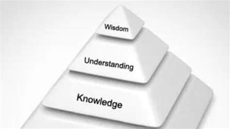 Insight Knowledge Wisdom 的图像结果