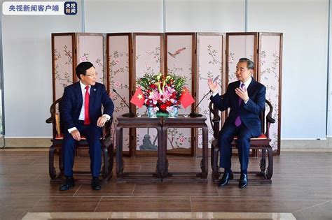 王毅同越南副总理兼外长范平明举行会谈 - 国际在线移动版
