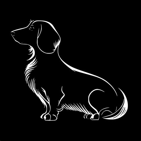 Black And White Dachshund
