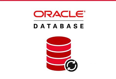 Oracle Corporation Oracle Database 的图像结果
