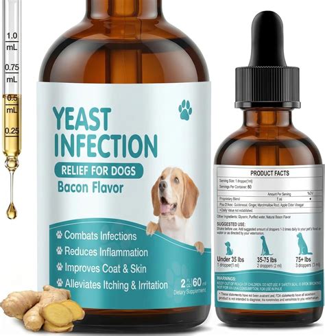 Amazon.com : Natural Yeast Infection Treatment for Dogs Relief Itchy ...