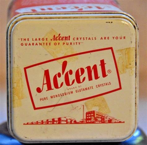 Accent: The Ultimate Guide to MSG (Monosodium Glutamate) – Benefits ...