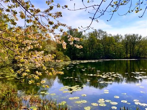 THE 10 CLOSEST Hotels to Sandwell Valley Country Park, West Bromwich