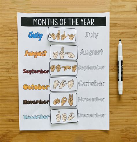 ASL Months of the Year Matching Activity ASL Calendar File - Etsy España