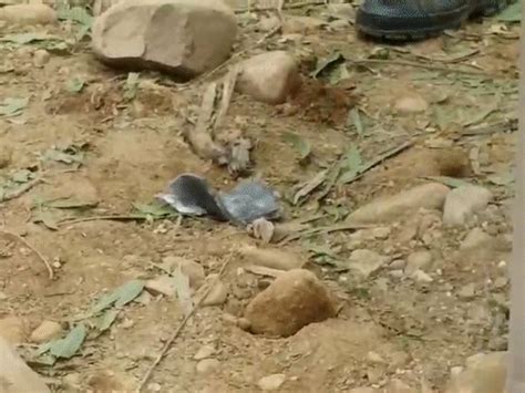 Punjab Chandigarh Pakistan Drone Attacks; India Pakistan WAR PHOTOS ...