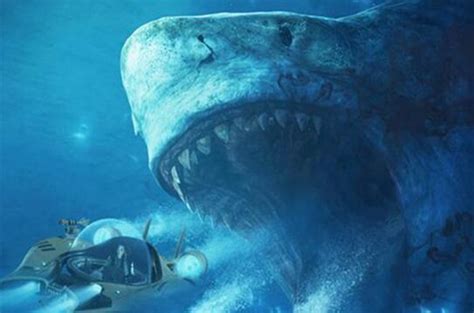 巨齿鲨的天敌是谁 它曾是名副其实的海洋领主 - 未解之谜网