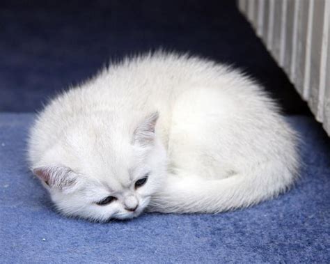 🔥 [50+] Stacked Monitor Wallpapers | WallpaperSafari