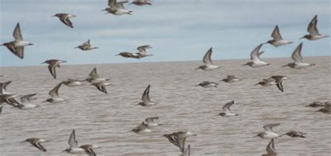 Moosonee Tourism (2022): Best of Moosonee, Canada - Tripadvisor