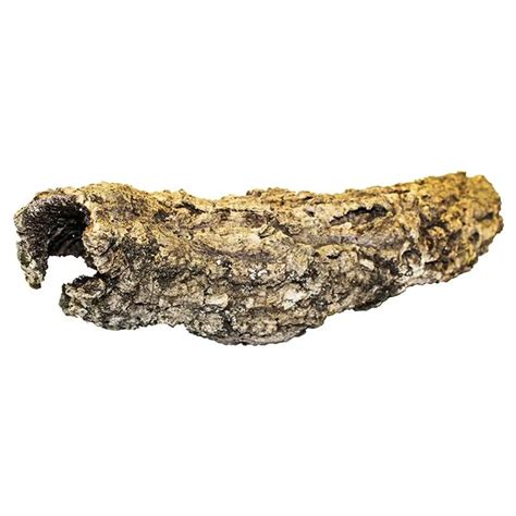 Image result for Burmese Python Diet