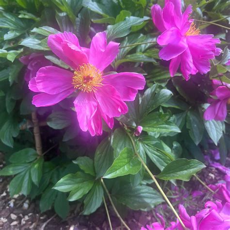 LOCANDA DEL GALLO (Gubbio, Umbria, Italy) - Villa Reviews & Photos ...