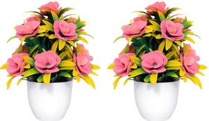 CARNIVAL Pack of 2 pink flower blooming beauty plant for decoration for ...