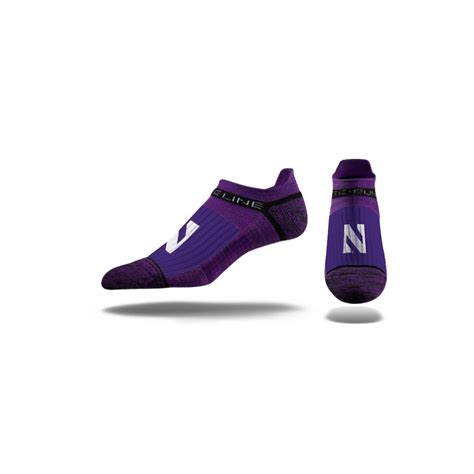 Northwestern University | Premium Low | Primary Logo School Color | N0 ...