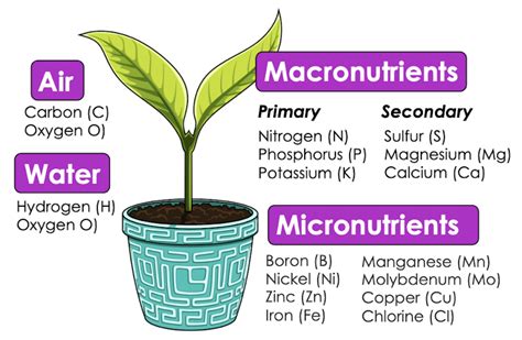 Soil Chemistry