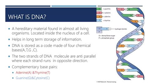 Bio Computer Science 的图像结果