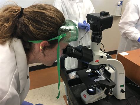 Image result for How to Do Microbial Growth Curves Using Spectrophotometer