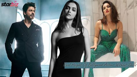 Real Height Of Bollywood Actors Without Shoes | where is the truth ...