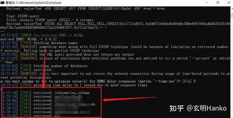 Sqlmap Hacking 的图像结果