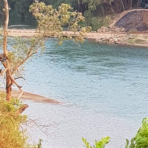 THE DAILY RIVER INN (Daly River) - Specialty Inn Reviews & Photos ...