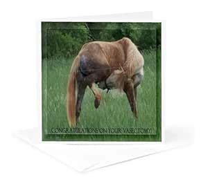 Horse Green Background Congratulations On Vasectomy - Greeting Card, 6 ...