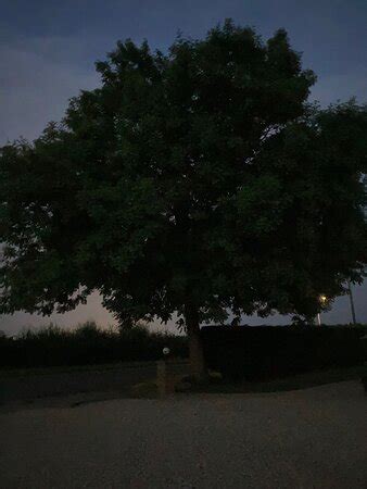 THE HAVEN INN (Kingston-upon-Hull) - Inn Reviews, Photos, Rate ...