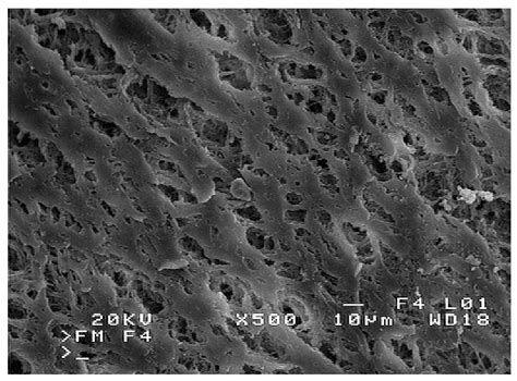 Degradation of Polypropylene Membranes Applied in Membrane Distillation ...
