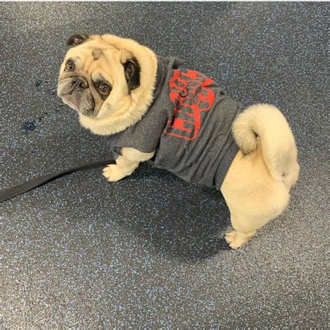 CRUNCH FITNESS - GREENPOINT - 825 Manhattan Ave, Brooklyn NY - Hours ...