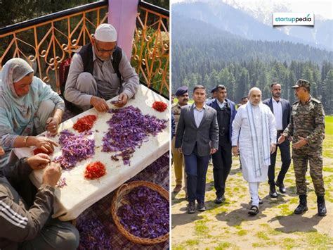 Saffron Is Outpacing Gold in India; Kashmir Sees a 10% Price Surge in ...