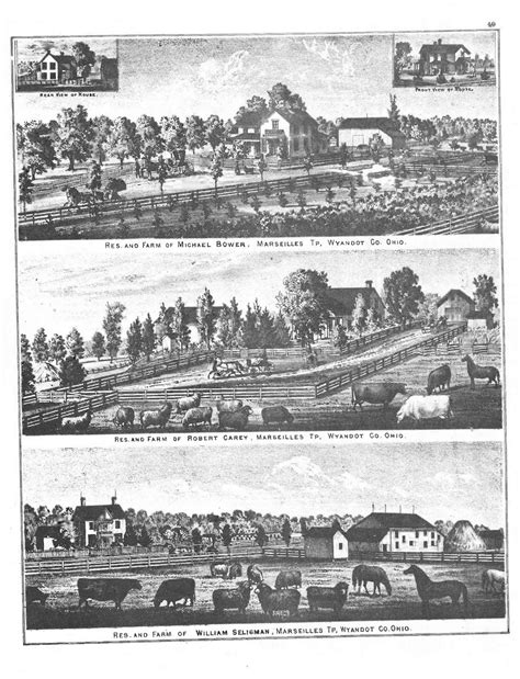 Picture Bower, Ohio 1879 - Old Town Map Reprint - Wyandot County Atlas ...
