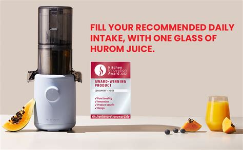 Buy Hurom H310A Self-Feeding Cold Press Whole Slow Juicer All-in-1 ...