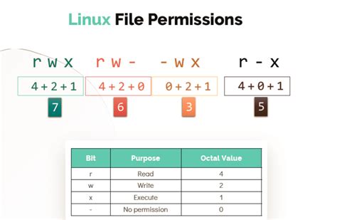 How to Create File Permissions in Linux 的图像结果