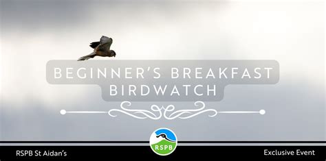 SOLD OUT- Beginners Breakfast Birdwatch- RSPB St Aidans, RSPB St Aidan ...