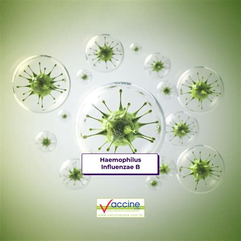 Haemophilus influenzae B - Vaccine Care