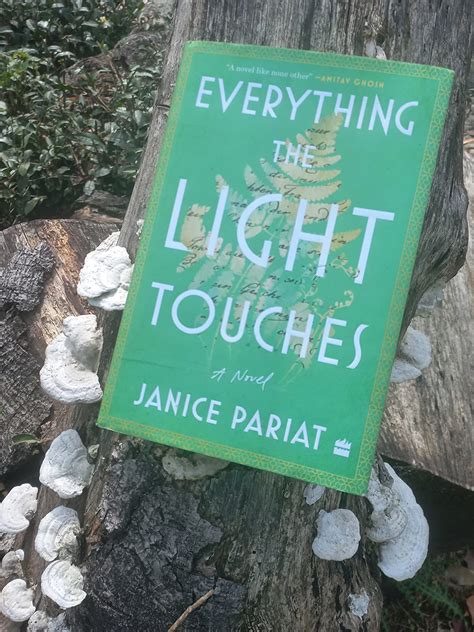 Everything the Light Touches : Pariat, Janice: Amazon.in: Books