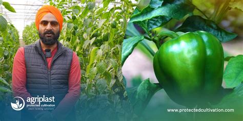 Net House Farming: What is Net House, Types, Benefits and More | Agriplast