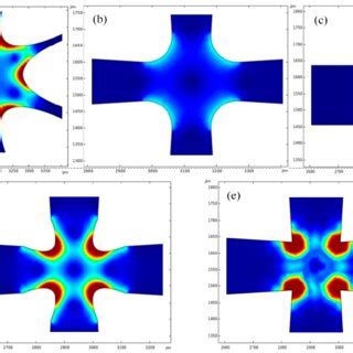 Image result for Electroconcentration Gradient