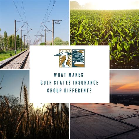 Gulf States Insurance Group on LinkedIn: "What makes Gulf States ...