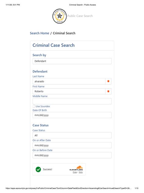 Public Criminal Case Search Tool | PDF
