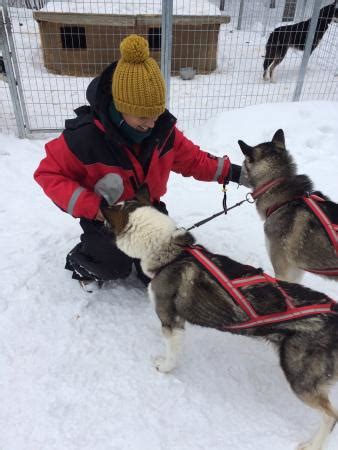 Nymanen (Arvidsjaur) - All You Need to Know BEFORE You Go